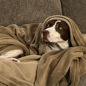 Meet your Posher, Corinne